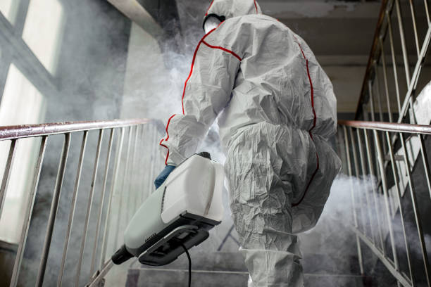 Mold Documentation for Insurance Claims in Kent Estates, IA